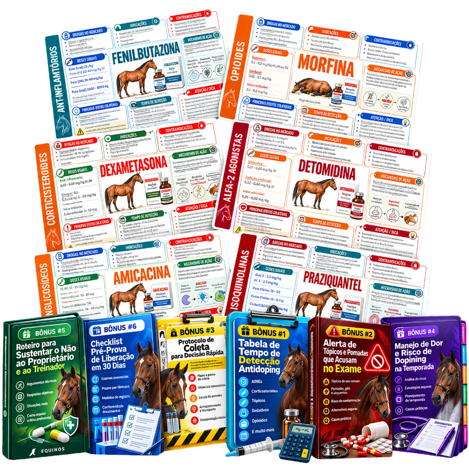 Plano completo — os flashcards e os 6 bônus