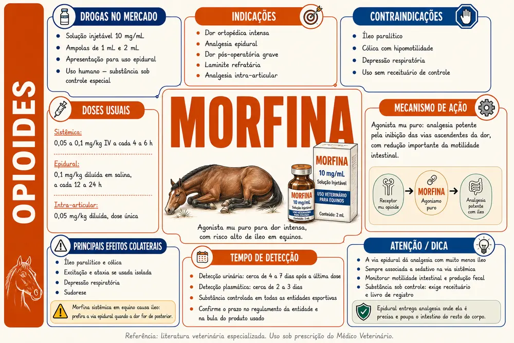Morfina