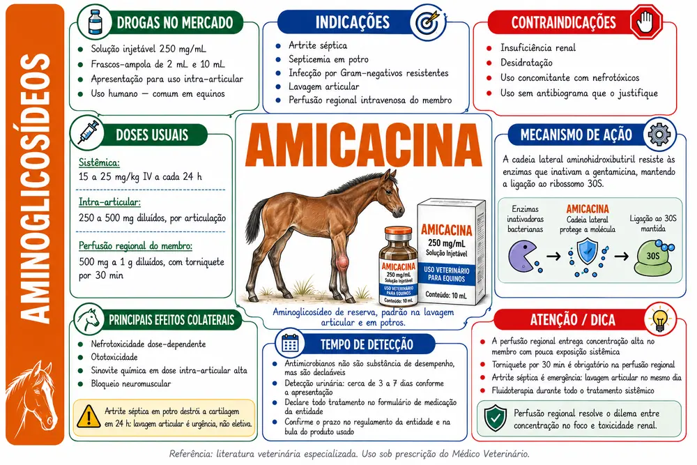 Amicacina