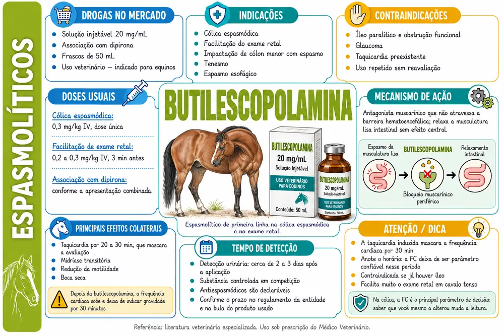 Butilescopolamina